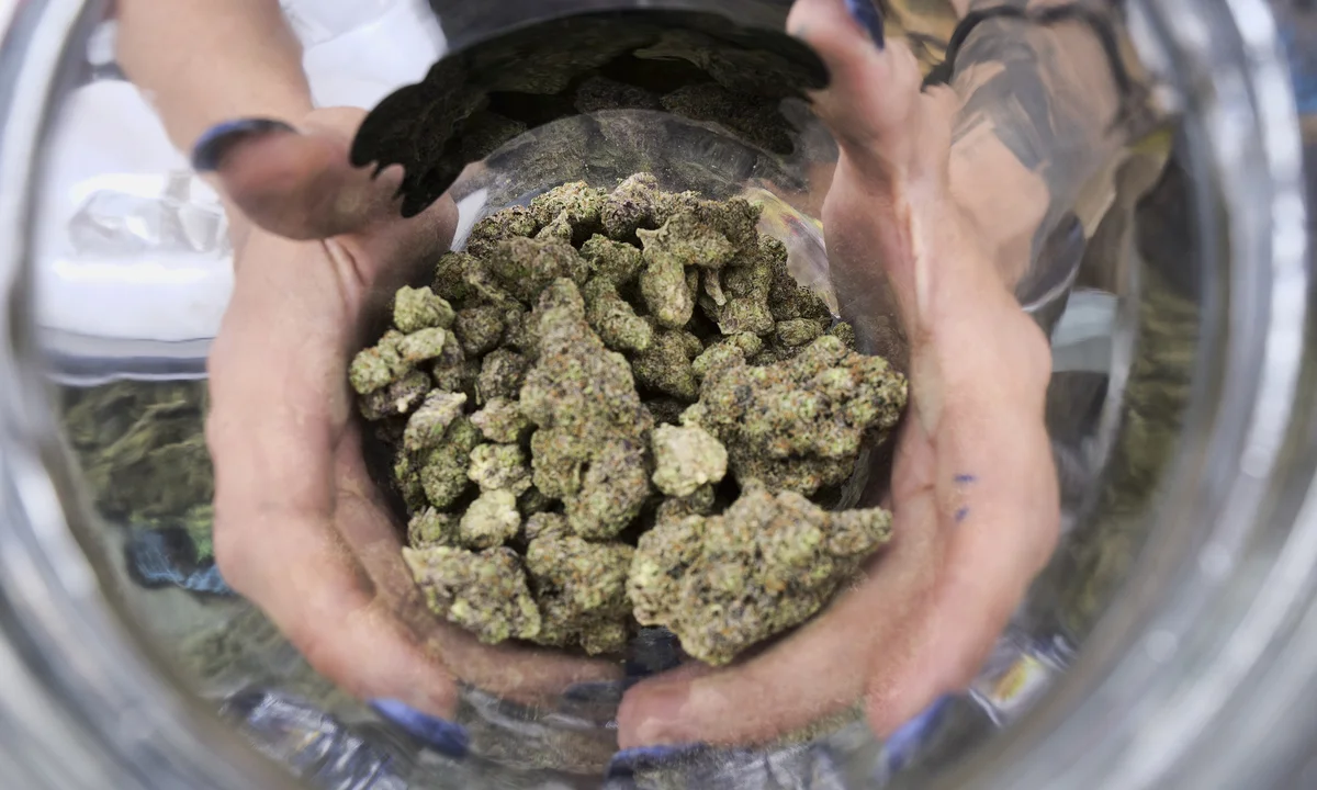Trusted by Thousands Across Europe Who Buy Weed Strains Europe Online